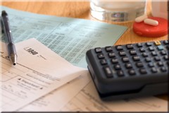 IRS Levies